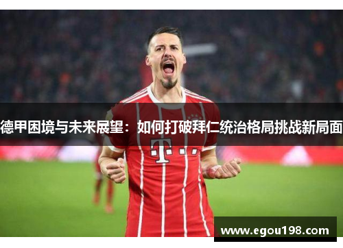 德甲困境与未来展望：如何打破拜仁统治格局挑战新局面