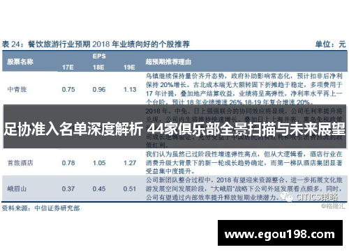 足协准入名单深度解析 44家俱乐部全景扫描与未来展望